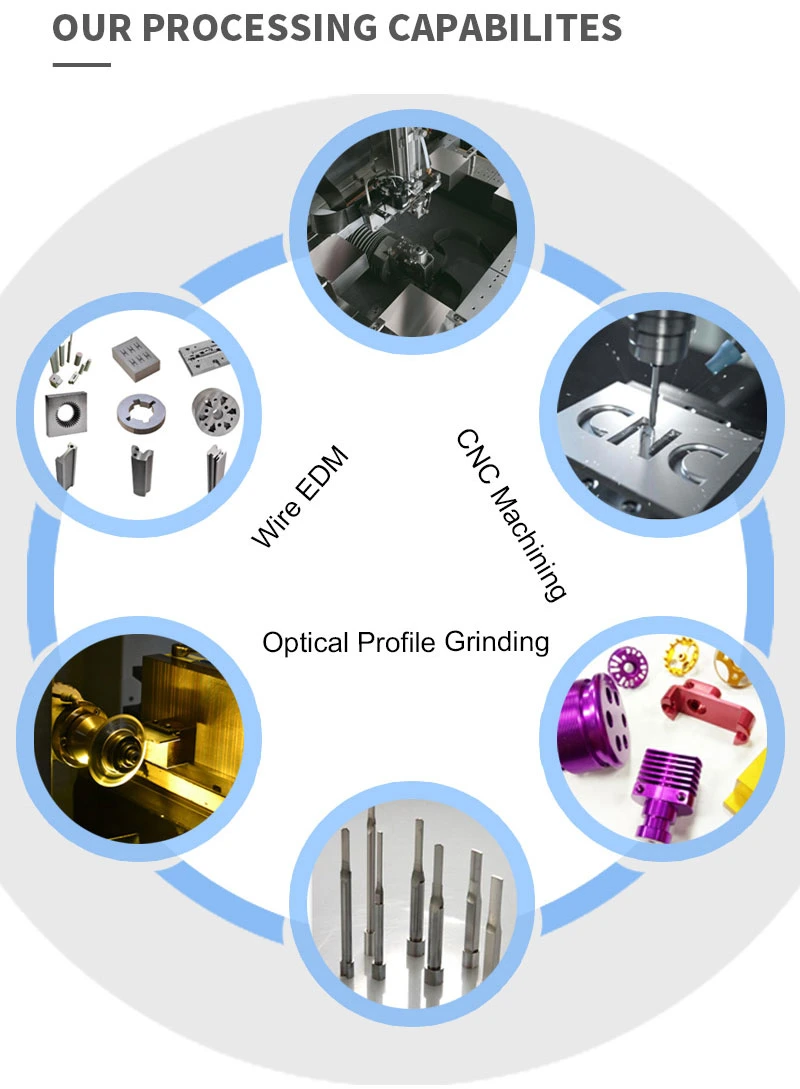 Customized Pei Precision Gear High Precision Plastic Injection Mold with Hot/Cold Runner