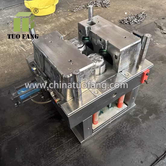 Projeto de molde personalizável para molde de injeção de tanque de água do tanque de refrigerante do motor